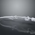Detailed Transparent Lizard Skeleton on Gray Background with Clear Reflection